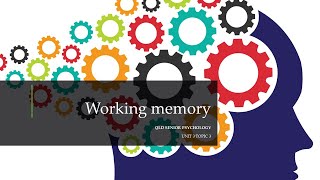 Working Memory [upl. by Yuk]