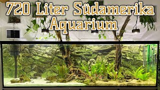 Pflegeleichtes 720 Liter AmazonasAquarium  Aus Asien wird Amazonien  Teil 2 [upl. by Gennie]