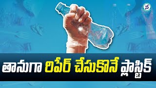 తానుగా రిపేర్‌ చేసుకొనే ప్లాస్టిక్  Unknown Facts about Biodegradable Plastic  Namasthe Telangana [upl. by Ailahtan]