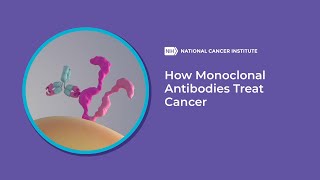 How Monoclonal Antibodies Treat Cancer [upl. by Coleville293]