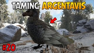 I Tamed Very Powerful High Level Argentavis 😱🔥 Ark Mobile Gameplay  Part 20 [upl. by Harli]