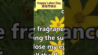 labor day song lyrics summer day song Beautiful Walk Song Original Song 原创歌曲 Chuntianle 春天了 [upl. by Liam394]