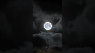 Moon lovers 🥰 viralvideo music reels song [upl. by Elimay508]