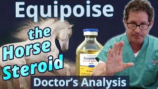 Equipoise the Horse Steroid  Doctors Analysis of Side Effects amp Properties [upl. by Hemetaf182]