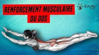 Renforcement musculaire du dos  Complet et personnalisé [upl. by Rubina]