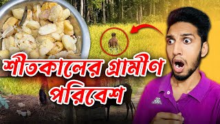 গ্রামীণ পরিবেশের সৌন্দর্য  Village Life Vlog [upl. by Einhorn]