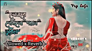 Tomare Dekhilo Habib তোমারে দেখিলো Nancy Slowed Reverb Vip Lofi 4 [upl. by Rosalie963]