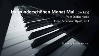 Im wunderschönen Monat Mai Dichterliebe low key – R Schumann Op48 No1 Piano Accompaniment [upl. by Olimpia]