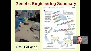 Genetic Engineering Summary [upl. by Neeoma]