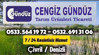 Türkiyede Markalaşan İsimler quotCengiz Gündüzquot [upl. by Gentille15]