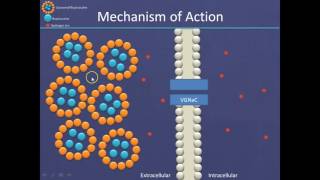 Liposomal Bupivacaine Mechanism of Action [upl. by Ettesoj]