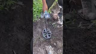 Suprise of the Gold coast Metal Dectectormetaldetecting treasuredetector party metaldetector [upl. by Reilamag]