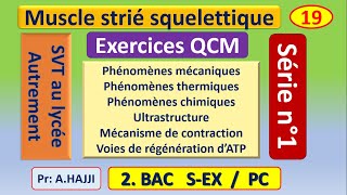 Exercices SVT Bac  QCM résolus sur le muscle strié squelettique [upl. by Nidroj]