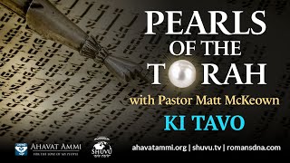 Pearls Of The Torah Ki Tavo [upl. by Sej]