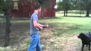 Shooting Sawed Off 12GA Shotgun And It Breaks [upl. by Eiramenna266]