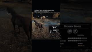 RDR2 • All Missouri Fox Trotter Horse Colors and Locations • Red Dead Redemption 2 [upl. by Beverlee]