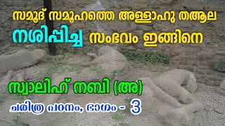 സ്വാലിഹ് നബിഅചരിത്രം ഭാഗം 3 SALIH NABI HISTORY MALAYALAM part 3 അള്ളാഹുവിന്റെ കഠിനമായ ശിക്ഷ [upl. by Gilly]