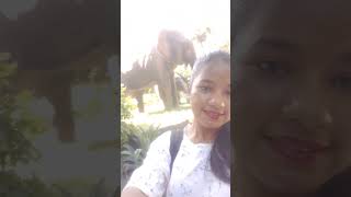 Guindy National Park Chennai My 1st mini vlog  Miss Chayashorts [upl. by Eneleh]