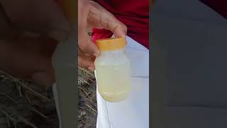 The Guy Shows SURVIVAL Hacks 💦👏camping survival bushcraft outdoors lifehacks [upl. by Sissy]