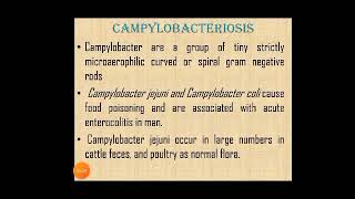 Campylobacteriosis by Dr Renuka Joshi [upl. by Theadora]