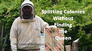 Beekeeping How we split colonies  Double Screen Boards [upl. by Adolpho319]