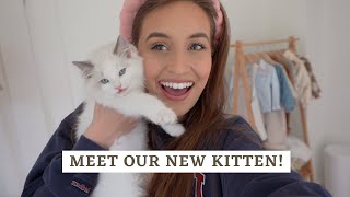 WE GOT A KITTEN  our first week with Dolly [upl. by Willtrude]