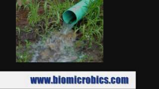 BioSTORM Stormwater Treatment System live action video [upl. by Maggie]