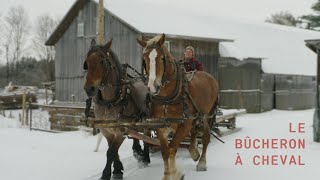 Carbone  Quand les chevaux remplacent les machines [upl. by Sathrum]