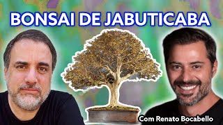 Aulão sobre Bonsai de Jabuticaba Jabuticabeira por Renato Bocabello [upl. by Latia]