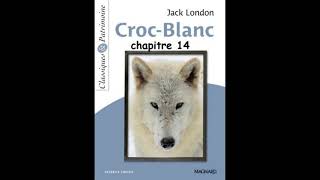 Chapitre 14  Croc Blanc de Jack London  version abrégée [upl. by Trab]