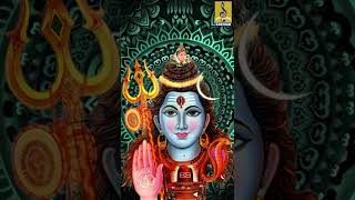 ശിവം ശിവകരം ശാന്തം  Shiva Devotional Song  Sivam Sivakaram Santham shorts [upl. by Amice]