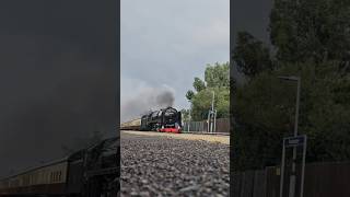 70000 Britannia TnT 57311 on Goodwood Revival 1Z48 London Paddington to Chichester at Portchester [upl. by Ferd371]