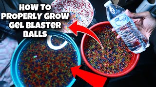 The Fastest amp Easiest Way to Properly Grow Gel Blaster BallsAmmo [upl. by Tia]