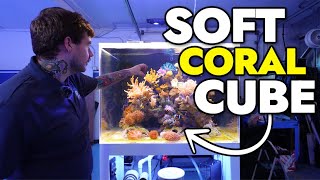 Introducing the NEW Soft Coral Cube at the Reef Builders Studio [upl. by Carlick823]