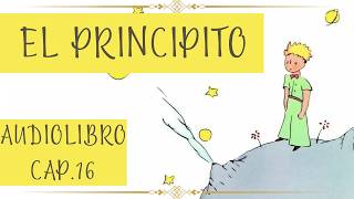 EL PRINCIPITO Cap 16 AUDIOLIBRO [upl. by Aldarcy]