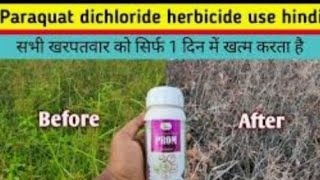 paraquat dichloride herbicide use [upl. by Onairotciv]