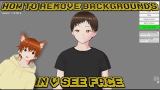 How To Remove Backgrounds In VSeeFace tutorial [upl. by Keavy]