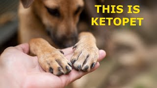 KetoPet Sanctuary [upl. by Dylan]