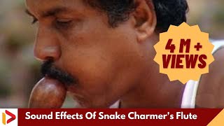 Sound Effects Of Snake Charmers Flute  Music of Makudi  Snake Music [upl. by Petronella]