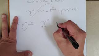 Mecanismo de sustitución acil nucleofílica [upl. by Nnylyoj259]