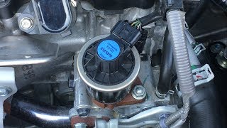 Honda EGR Valve Cleaning DIY [upl. by Accebor]