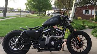 2015 Harley Davidson Iron 883 Walk around [upl. by Nnalyrehs]