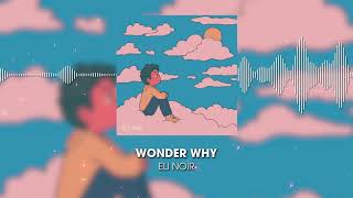 Eli Noir  Wonder Why Lyrics [upl. by Charyl]