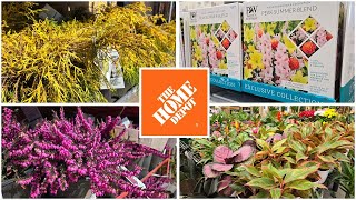 Home Depot Inventory March 2024 Spring is Here Flowering Shrubs Evergreens amp Summer Bulbs [upl. by Waylen719]