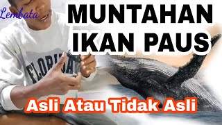 Cara Tes Muntahan Ikan Paus Asli Dan Tidak Asli [upl. by Rats]