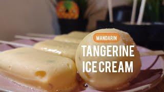 Tangerine Ice Cream 🍨🧡 mandarin Milk Lavender Honey 🤤 [upl. by Zetnwahs638]