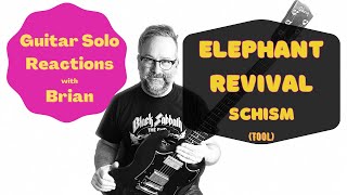 GUITAR SOLO REACTIONS  ELEPHANT REVIVAL SCHISM Tool [upl. by Freud]