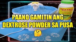 Paano Gamitin ang Dextrose Powder sa Pusa [upl. by Drannek]