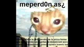 me perdonas si te he fallado te pido perdon  meperd0n as¿ [upl. by Selec]