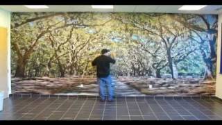 ORACAL USA  Indoor Wall Mural Installation [upl. by Sean]